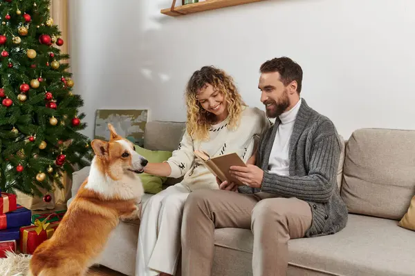 Cheerful couple sitting on couch and reading book near corgi dog and Christmas tree with presents — Stock Photo