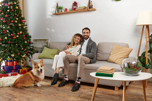 Cheerful couple sitting on couch and hugging near corgi dog and decorated Christmas tree with gifts — Stock Photo