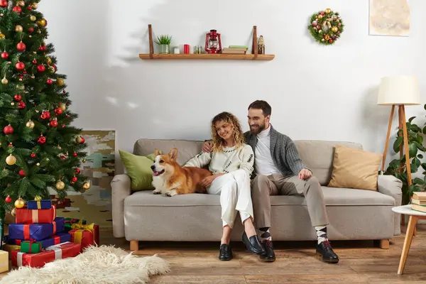 Cheerful couple sitting on couch and cuddling corgi dog near decorated Christmas tree at home — Stock Photo