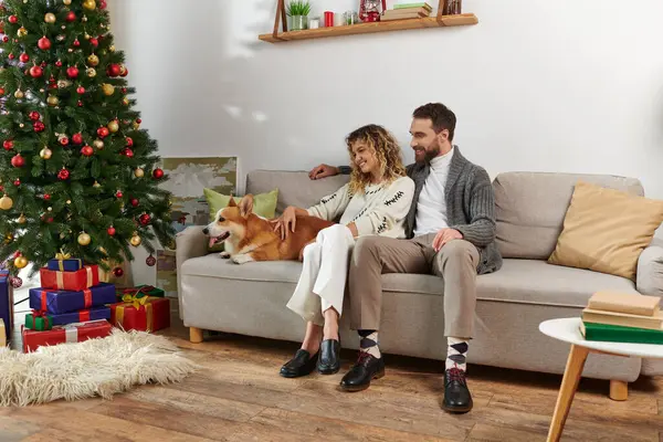 Joyful couple sitting on couch and cuddling corgi dog near decorated Christmas tree at home — Stock Photo