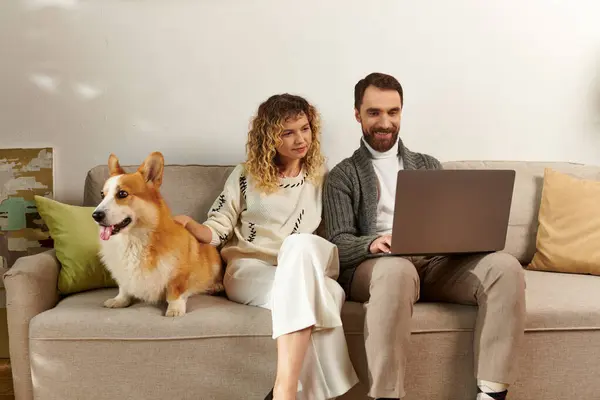 Hombre barbudo usando el ordenador portátil y sentado en el sofá con la esposa rizada y lindo perro corgi, trabajo desde casa - foto de stock