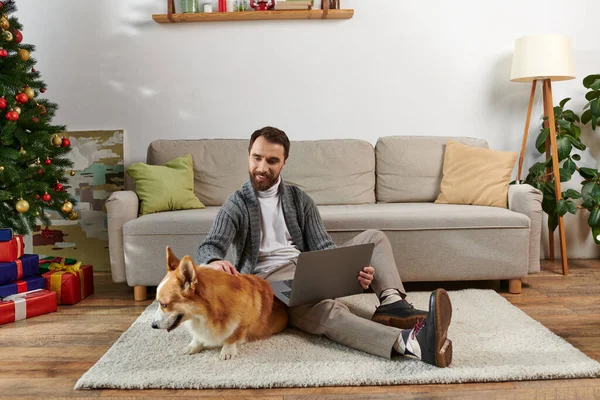 Щасливий чоловік використовує ноутбук і сидить на килимі біля коргі собаки і прикрашає ялинку вдома — стокове фото