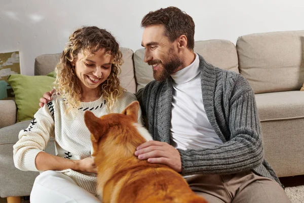 Coppia felice sorridente e giocando con simpatico cane corgi in appartamento moderno, momenti felici — Foto stock
