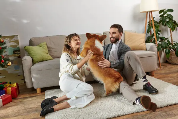 Homme et femme joyeux souriant et jouant avec chien corgi mignon dans l'appartement moderne, moments heureux — Photo de stock