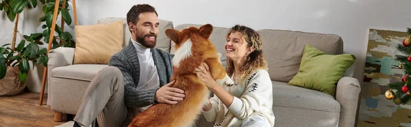 Happy couple smiling and playing with cute corgi dog in modern apartment, cozy moments banner — Stock Photo