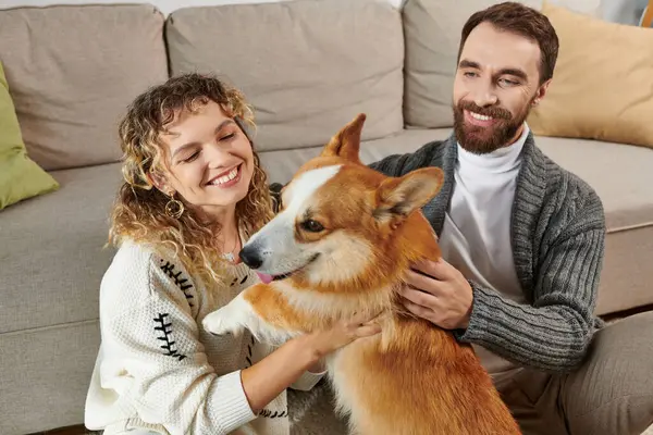 Joyful man and woman smiling and playing with cute corgi dog in modern apartment, happy moments — Stock Photo