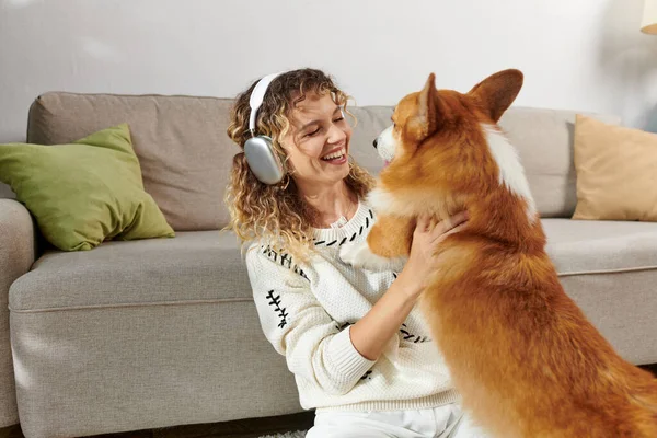 Mulher encaracolado em fones de ouvido sem fio brincando com cão corgi bonito no apartamento moderno, momentos felizes — Fotografia de Stock