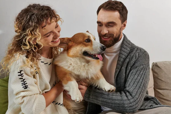 Freudiges Paar in Winterkleidung, lächelnd und spielend mit Corgi-Hund in moderner Wohnung, glückliche Momente — Stockfoto