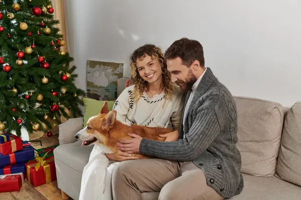 Joyful couple in winter attire smiling and playing with corgi dog near decorated Christmas tree — Stock Photo