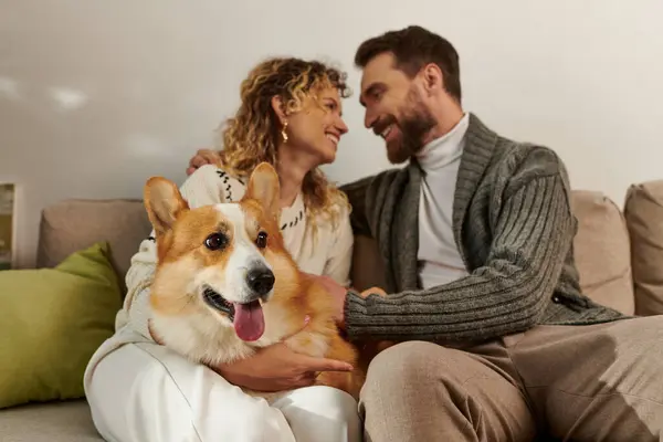 Pareja en traje de invierno sonriendo y jugando con perro corgi en apartamento moderno, momentos felices - foto de stock