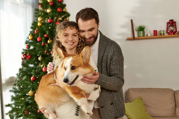 Coppia felice in abbigliamento invernale tenendo cane corgi e in piedi vicino decorato albero di Natale — Foto stock
