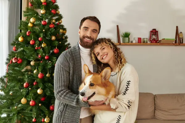 Happy couple in winter clothing holding corgi dog and standing near decorated Christmas tree — Stock Photo