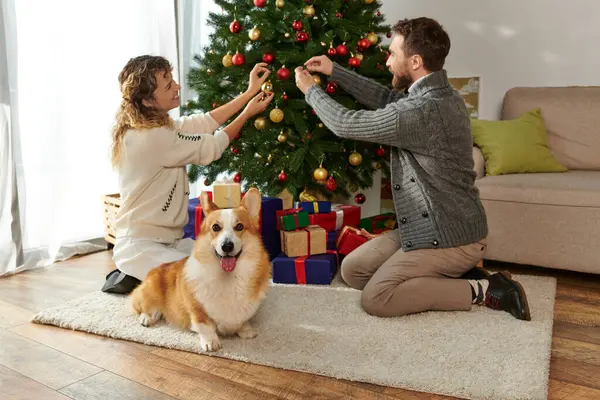 Щаслива пара в зимовому одязі, що прикрашає ялинку з вадами біля подарунків і коргі собаки — стокове фото