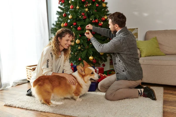 Счастливая пара в зимней одежде украшая елку с безделушками возле подарков и корги собака — стоковое фото