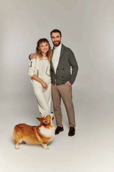 Cheerful couple in winter attire smiling and posing with cute corgi dog on grey background — Stock Photo