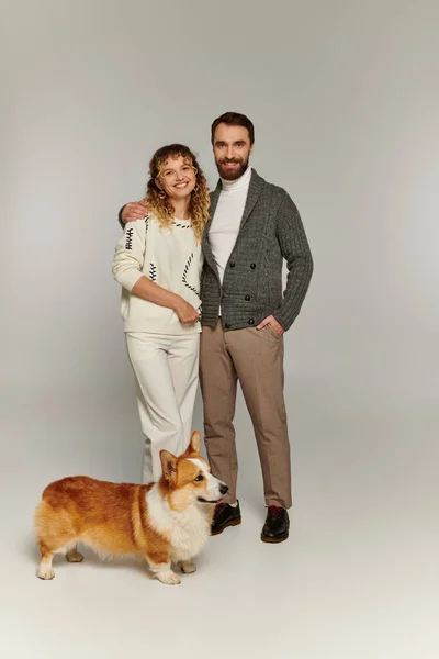 Couple gai en tenue d'hiver souriant et posant avec chien corgi mignon sur fond gris — Photo de stock