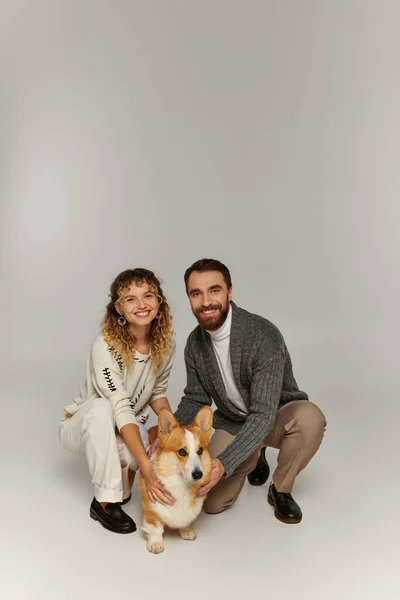 Heureux homme et femme en tenue d'hiver souriant et assis avec chien corgi mignon sur fond gris — Photo de stock