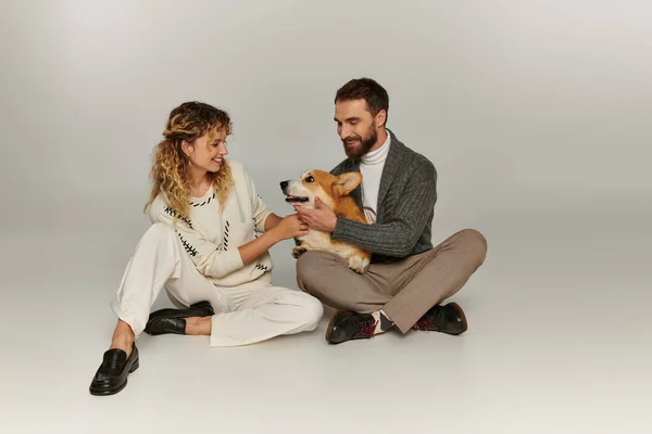 Cheerful man and woman in winter attire smiling and playing with cute corgi dog on grey background — Stock Photo