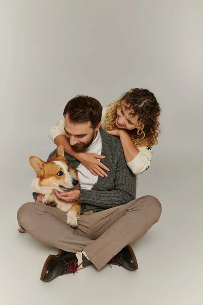 Retrato familiar, hombre y mujer felices en traje de invierno posando con lindos corgi sobre fondo gris - foto de stock