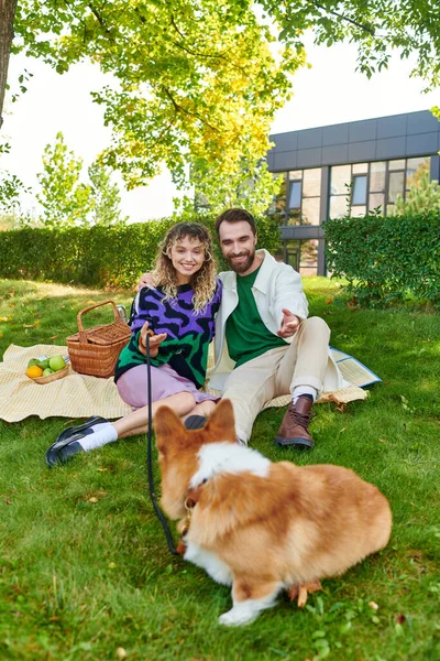 Attractive curly woman and cheerful man having picnic with cute corgi dog on green lawn in park — Stock Photo
