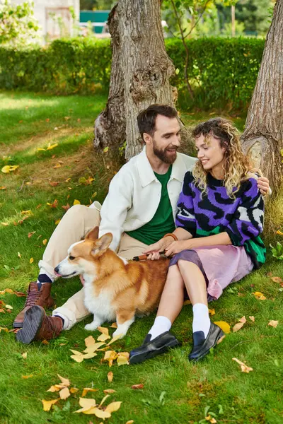 Feliz hombre abrazando a la mujer rizada en lindo traje mientras acaricia perro corgi en el parque, sentado cerca del árbol - foto de stock