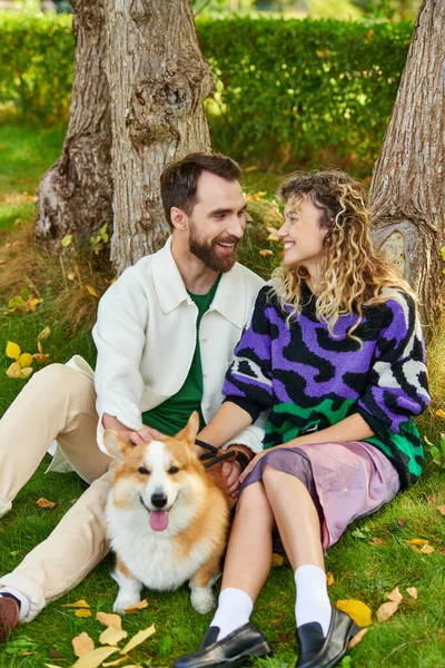Cheerful man hugging curly woman in cute outfit while cuddling corgi dog in park, sitting near tree — Stock Photo