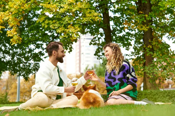 Casal feliz copos clinking de vinho enquanto sentado na grama e ter piquenique com cachorro corgi — Fotografia de Stock