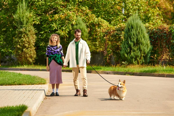 Glückliches Paar in stylischer Kleidung, Händchen haltend und mit niedlichem Corgi-Hund um grüne Bäume spazierend — Stockfoto