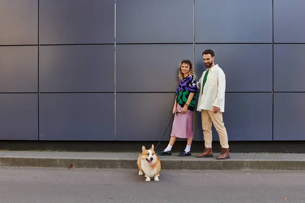 Feliz y elegante pareja caminando con perro corgi cerca de moderno edificio gris, compañeros de animales - foto de stock