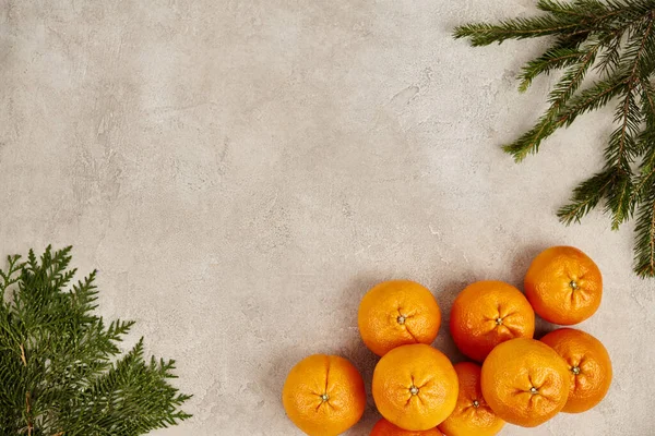 Christmas backdrop, tangerines near juniper and pine branches on textured surface with empty space — Stock Photo