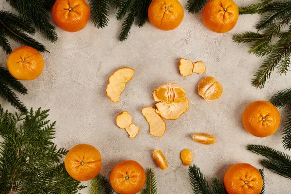 Pilled mandarins in frame of juniper and pine branches on grey textured backdrop, Christmas — Stock Photo