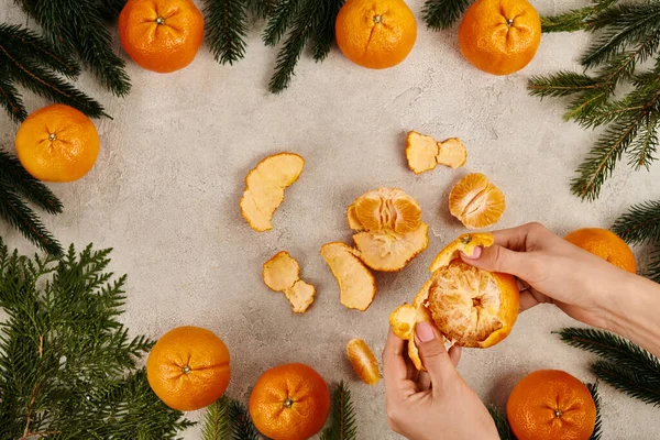 Cropped view of woman peeling ripe tangerine near juniper and pine branches, Christmas concept — Stock Photo