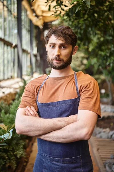 Handsome and bearded gardener in blue denim apron standing with crossed arms in greenhouse — Stock Photo