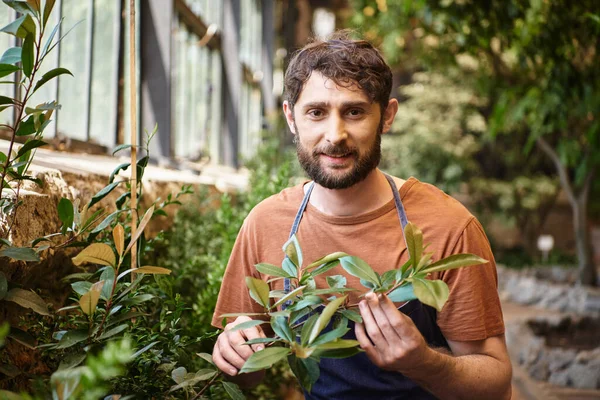 Good looking and happy gardener in denim apron looking at camera around green leaves in greenhouse — Stock Photo