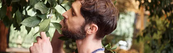 Bien parecido jardinero barbudo en delantal de mezclilla examinar hojas frescas de plantas en invernadero, bandera - foto de stock