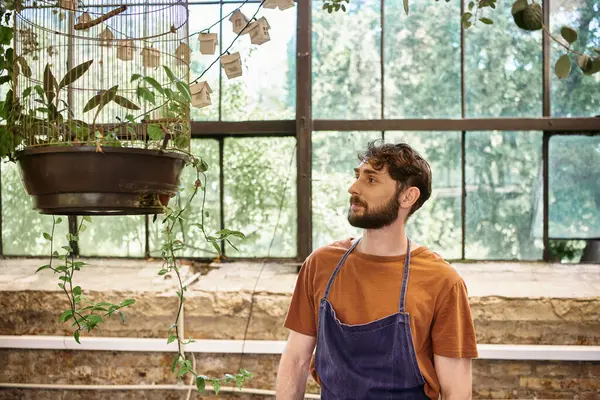Красивый и веселый садовник в джинсовом фартуке изучает свежие листья в клетке для птиц в теплице — стоковое фото