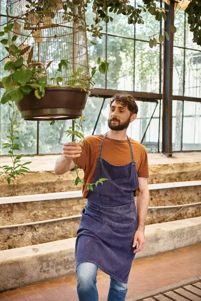 Good looking and cheerful gardener in denim apron examining fresh leaves in birdcage in greenhouse — Stock Photo