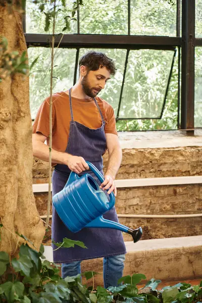 Jardinero barbudo y de buen aspecto en el delantal de denim regar las plantas en invernadero, concepto de horticultura - foto de stock