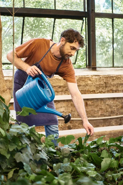 Jardineiro bonito e barbudo em plantas de rega de avental de ganga em estufa, conceito de horticultura — Fotografia de Stock