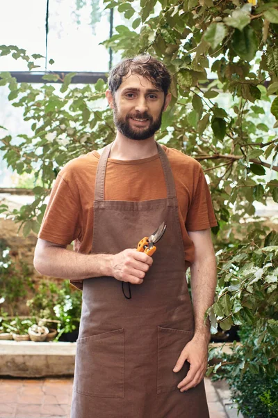 Jardinero feliz en delantal de lino sosteniendo tijeras de jardinería en invernadero, posando con la mano en el bolsillo - foto de stock