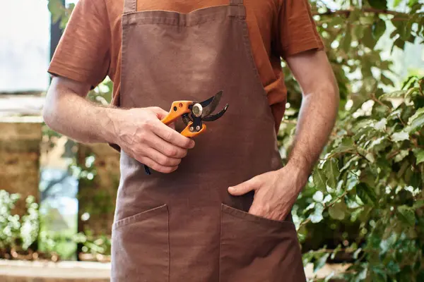 Cultivado jardinero en delantal de lino con tijeras de jardinería en invernadero, posando con la mano en el bolsillo - foto de stock