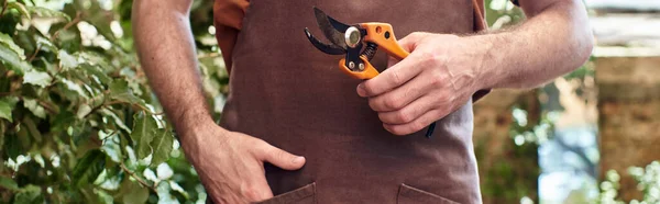 Jardineiro banner cortado em avental segurando tesoura de jardinagem e posando com a mão no bolso — Fotografia de Stock