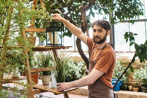 Happy bearded gardener in linen apron holding vintage lamp near rack with plants in greenhouse — Stock Photo