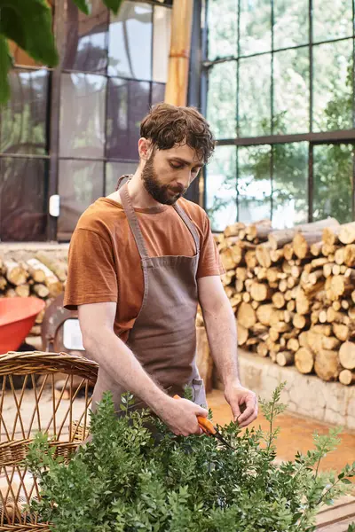 Profi-Gärtner in Leinenschürze schneidet Ast auf Busch mit Gartenschere im Gewächshaus — Stockfoto