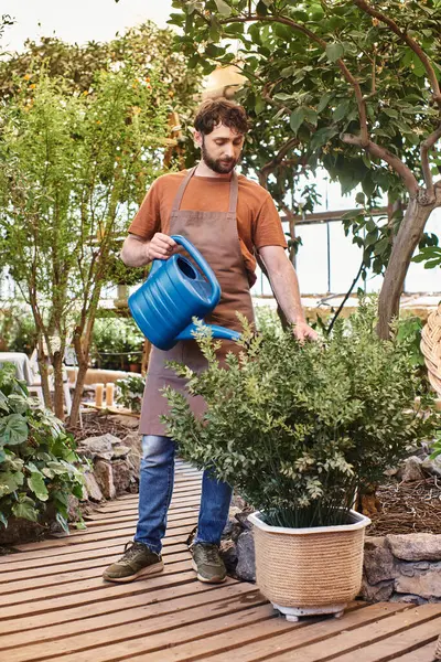 Профессиональный садовник в льняном фартуке поливая зеленый куст с синей лейкой в теплице — стоковое фото