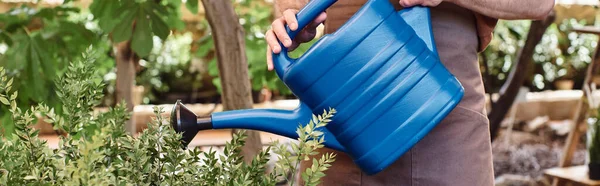 Bannière recadrée de jardinier en toile tablier arrosage buisson vert avec arrosoir bleu en serre — Photo de stock