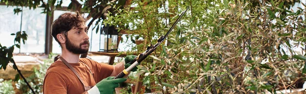 Bel giardiniere in lino grembiule taglio ramo su albero con grandi forbici in serra, stendardo — Foto stock