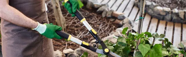Cropped banner of gardener in gloves cutting branch on tree with big secateurs in greenhouse — Stock Photo