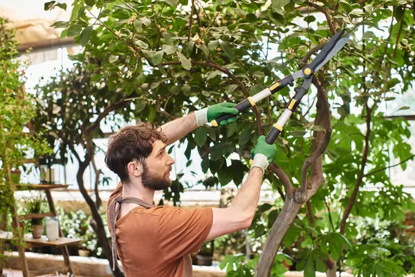 Красивый садовник в льняном фартуке режет ветку на дереве большими садовыми ножницами в оранжерее — стоковое фото