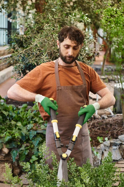 Бородатый садовник в льняном фартуке обрезает зеленый куст большими садовыми ножницами в оранжерее — стоковое фото